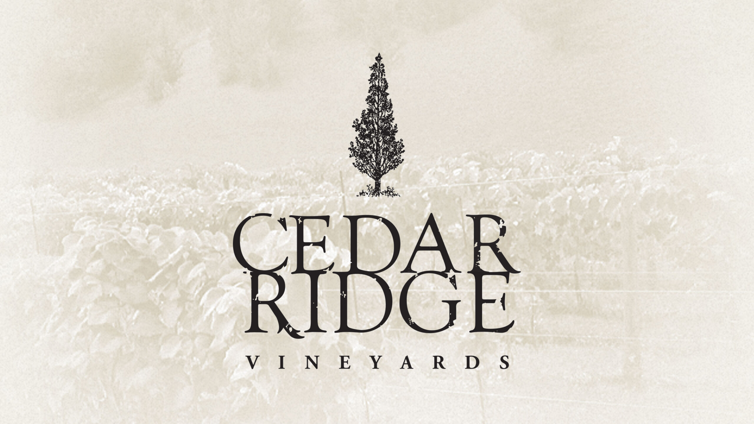 Cedar Ridge wine label