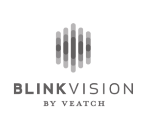 blink vision