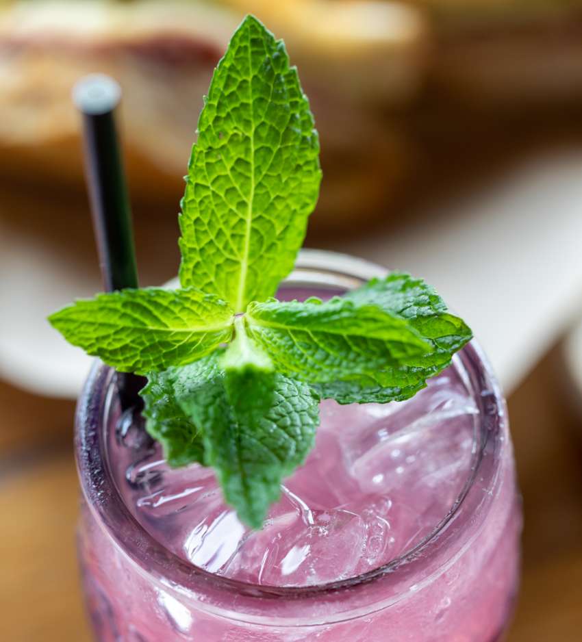 Cedar Ridge blueberry mint drink