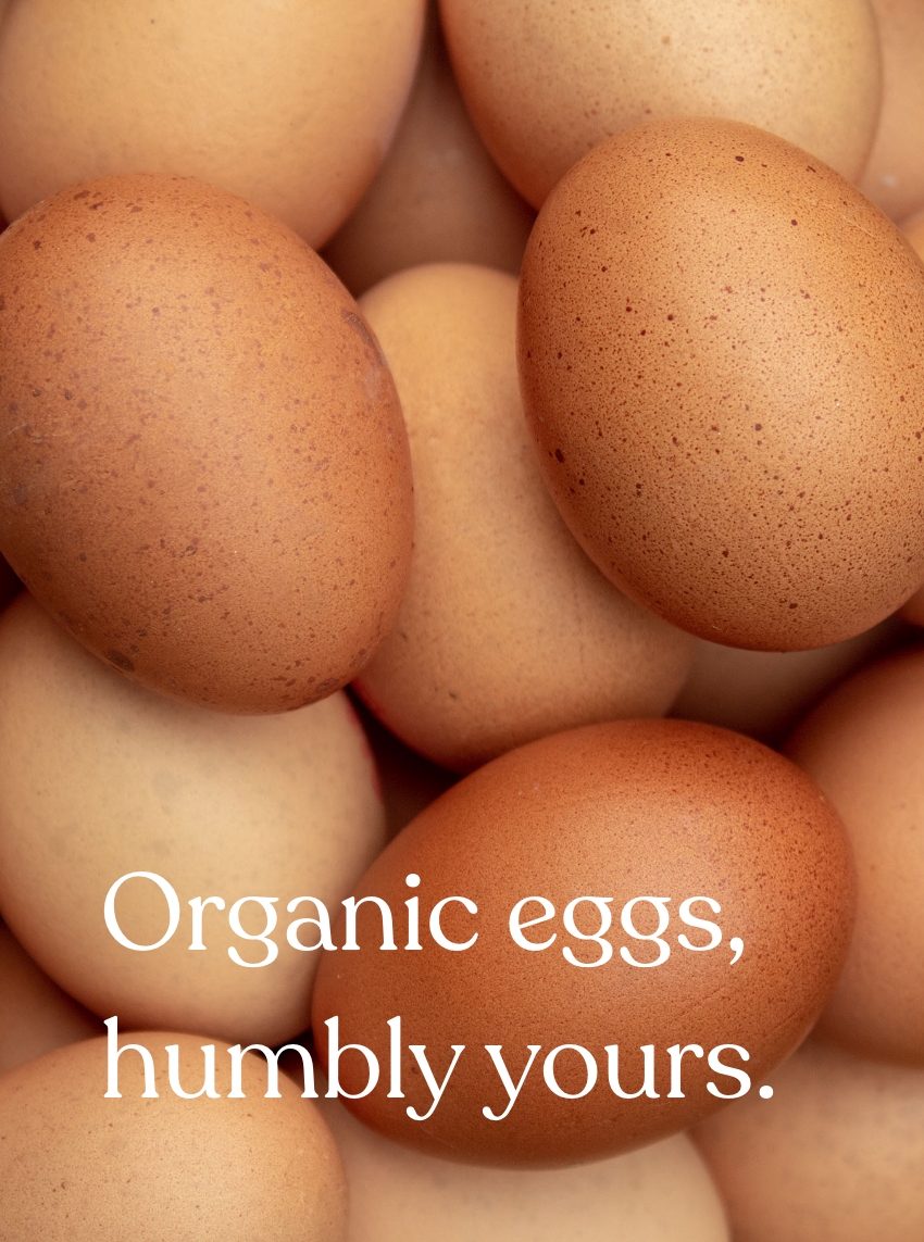 Picture of eggs with caption "Organic eggs, humbly yours"